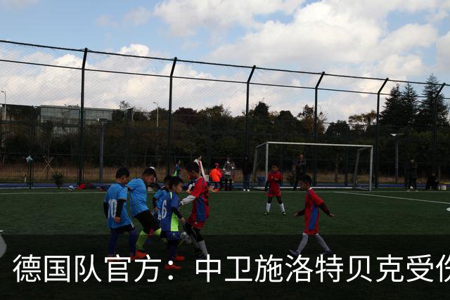 德国队官方：中卫施洛特贝克受伤 提前告别本届世界杯